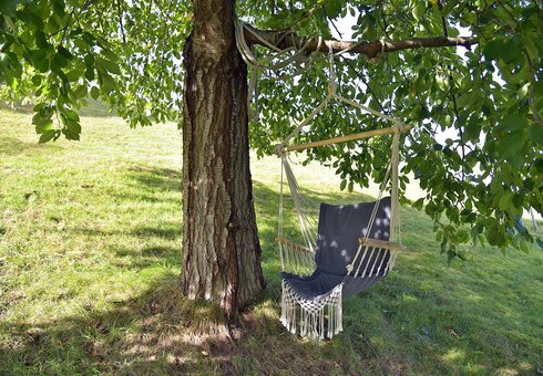 schattiges Plätzchen unterm Baum