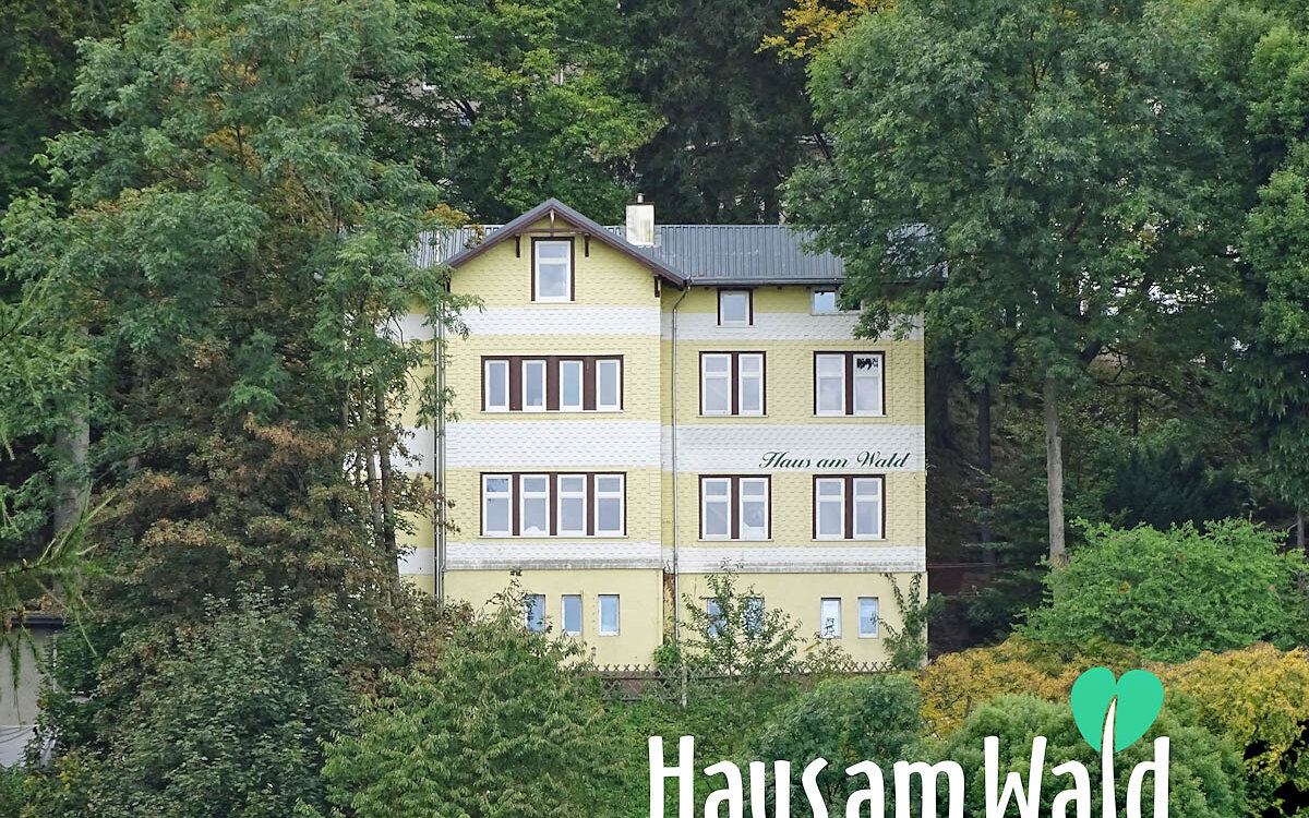 Ferienwohnungen-Gaestehaus-Haus-am-Wald-Friedrichroda-Panorama