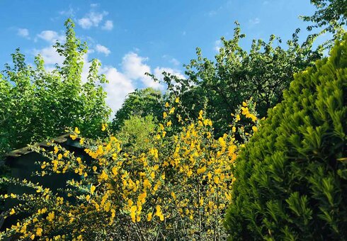 Im Garten