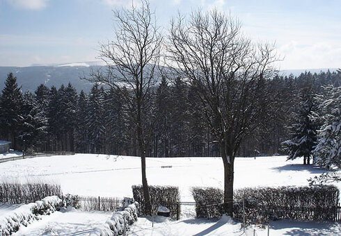Blick aus dem Ferienhaus