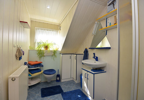 Bad mit Dusche / WC