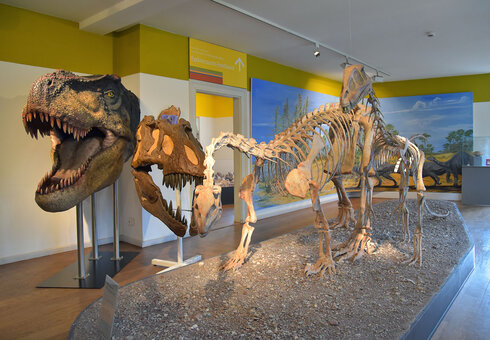 Naturhistorisches Museum