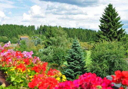 Ausblick vom Balkon