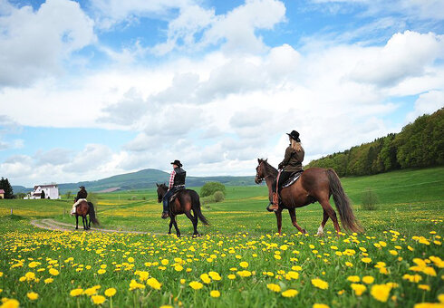 Reiten in der Rhön