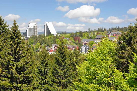 6 Tage Rennsteigwanderung von Hörschel bis Ob