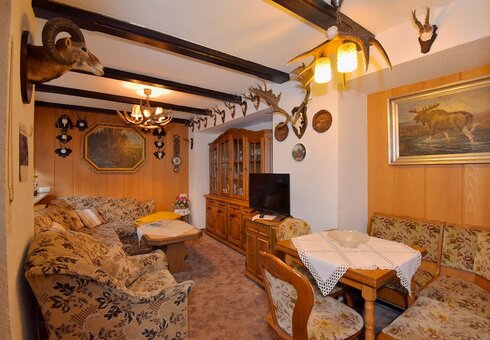 große Ferienwohnung (Wohnzimmer)