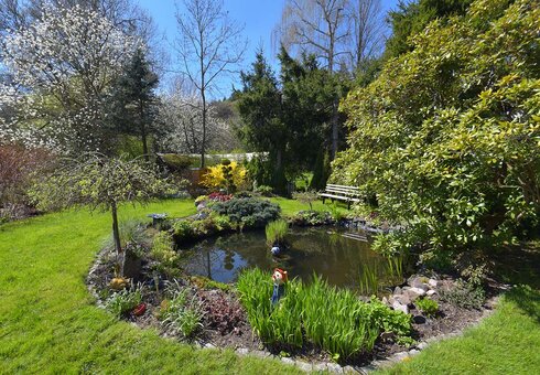 Garten mit Teich