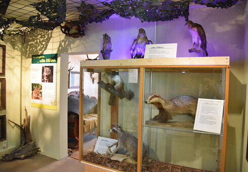 Wilderermuseum
