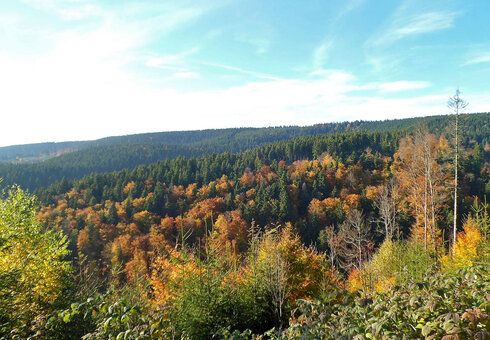 Landschaft im Thüringer Wald