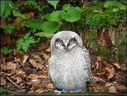 Tierpark Suhl