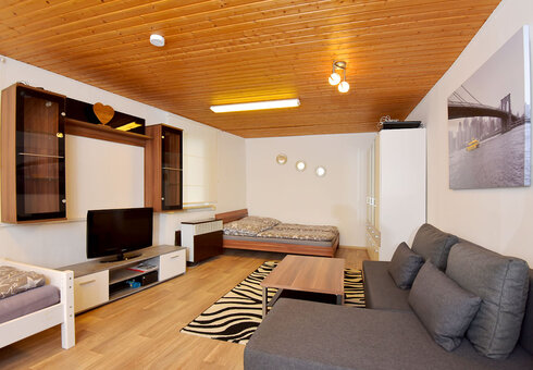 City-Appartement 1 (Wohn-Schlafraum)