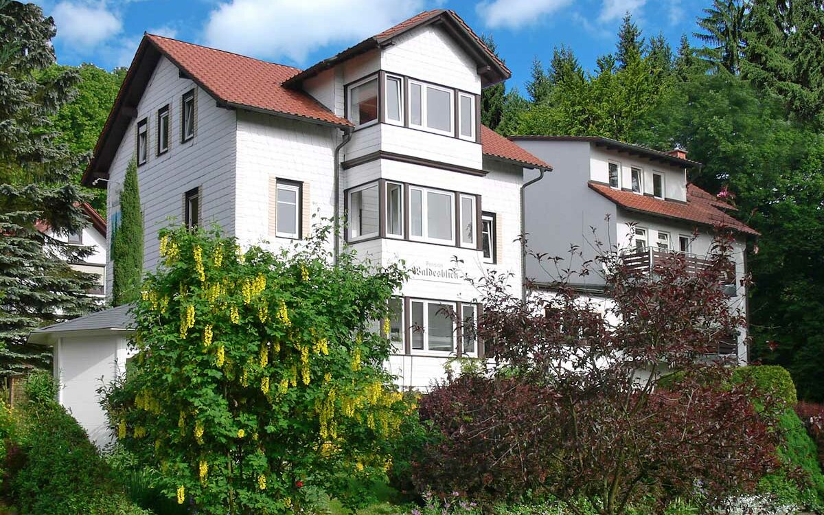 Pension-Waldesblick-Finsterbergen-Panorama