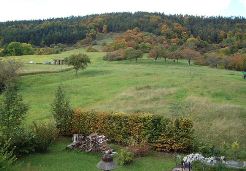 Ausblick in die Natur