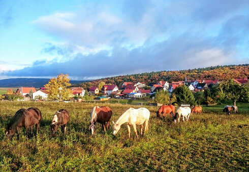 Blick auf Bernshausen in der Rhön
