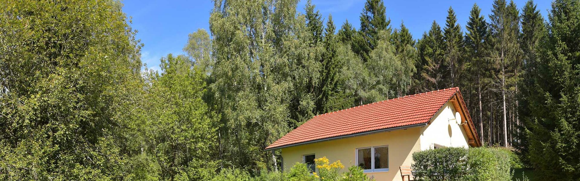 Ferienhaus-Konrad-Goldlauter-Heidersbach-Panorama