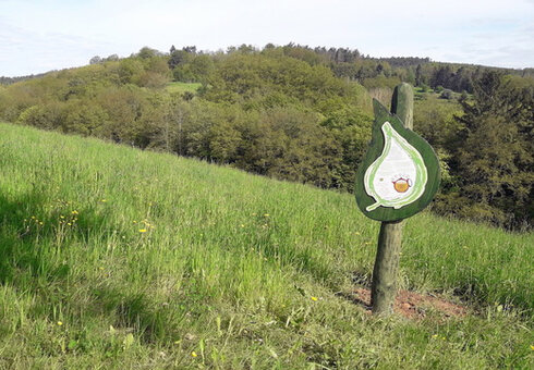 Spielhof Debrahöhe
