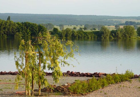 Campingplatz Palumpa-Land