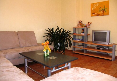 Blick in das Wohnzimmer