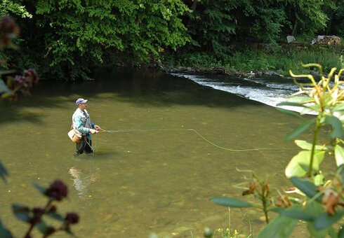 Angler in der Schwarza