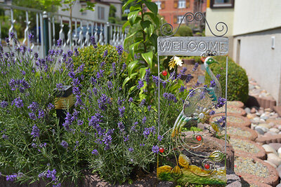 Ferienwohnung-Woelke