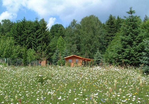 Garten mit Liegewiese