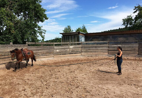 Stockborn Ranch