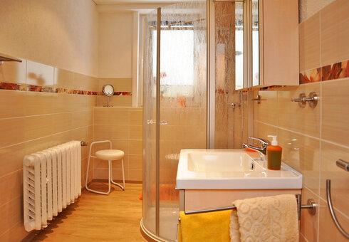Ferienwohnung Bachwald (Dusche/WC)