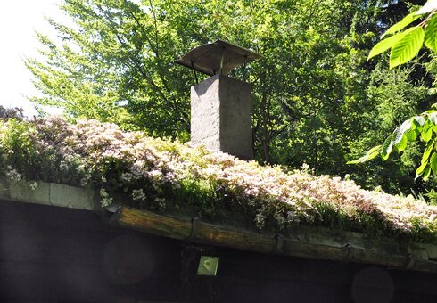 Blütendach