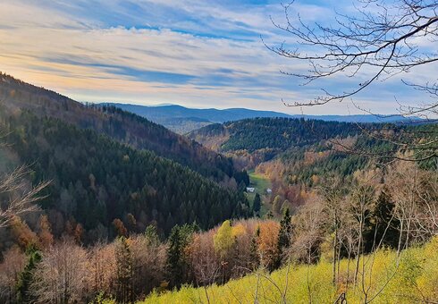 Landschaft im Thüringer Wald