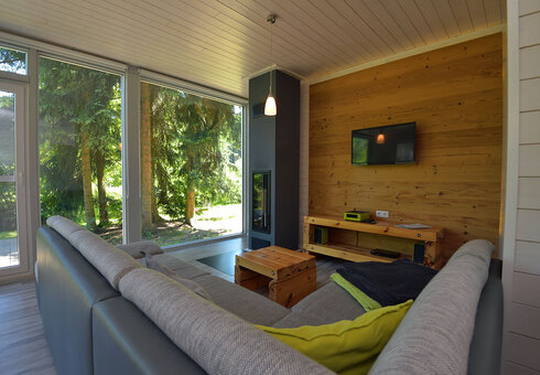 Wohnzimmer mit Kamin und TV