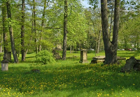 Idylle im Englischen Garten