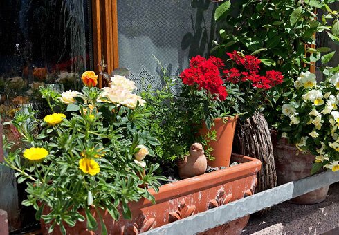 Gasthaus Zur Sonne