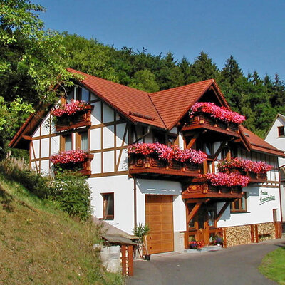 Pension Rennsteigblick, Struth-Helmershof