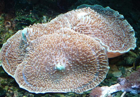 Erlebnispark Meeresaquarium