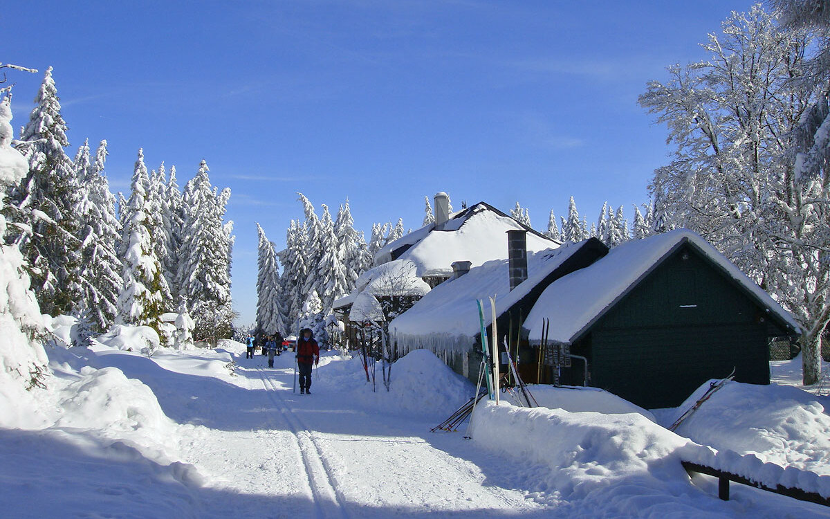 Fewos-am-Rennsteig-Panorama
