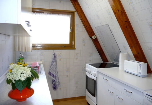 Blick in ein Ferienhaus (Küche)