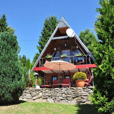 Ferienhaus Alwin im Sommer