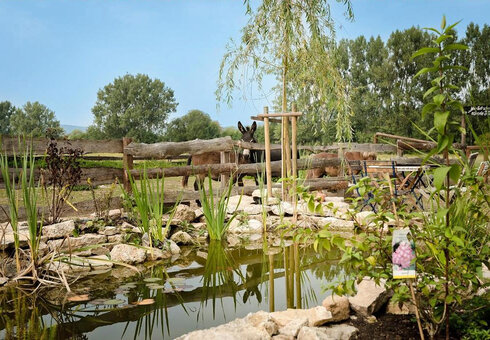 kleiner Teich am Hotel