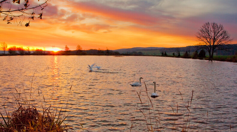 Rödicher Teich bei Schnepfenthal