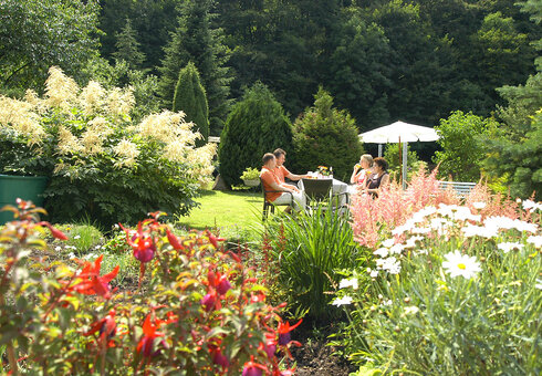 Blick in den Garten
