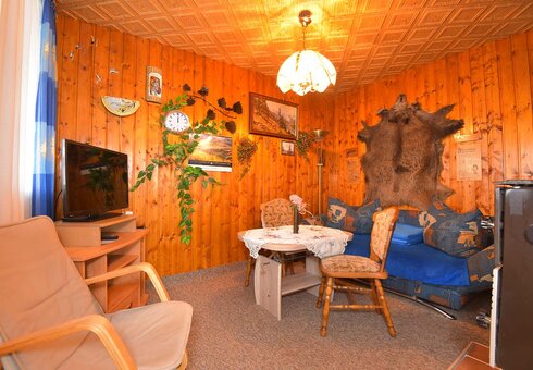 Wohnzimmer mit Couch und TV