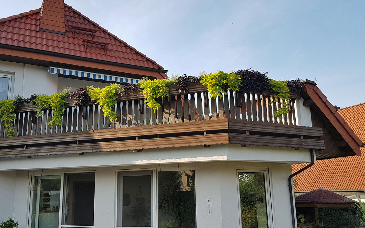 Blick in die Küche