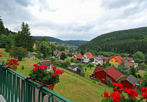 Pension Am Waldesrand, Manebach