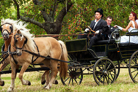 Hochzeit feiern