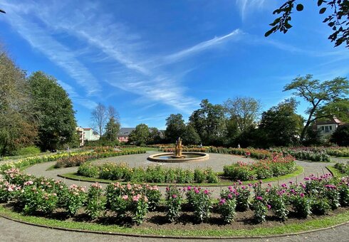 Dahliengarten (© Foto: Claudia Steinhäußer)