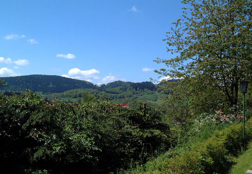 Blick in die unmittelbare Umgebung