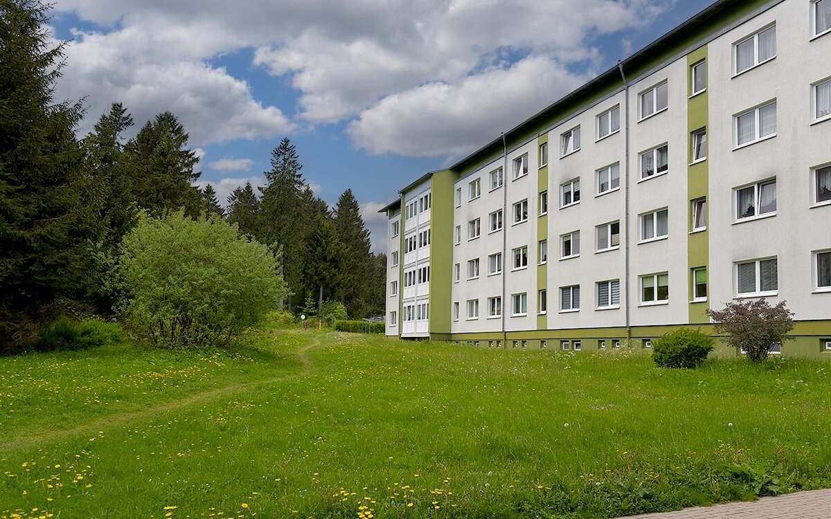 Ferienwohnung-Waldblick-Oberhof-panorama