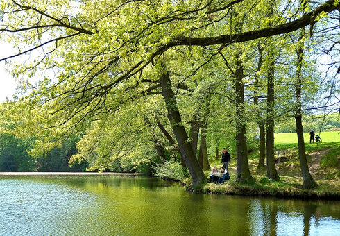 Die Grüne Kutte - Erdfallsee