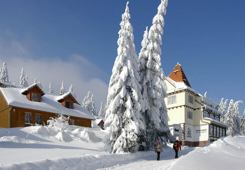 Ferienwohnungen und Ferienhaus