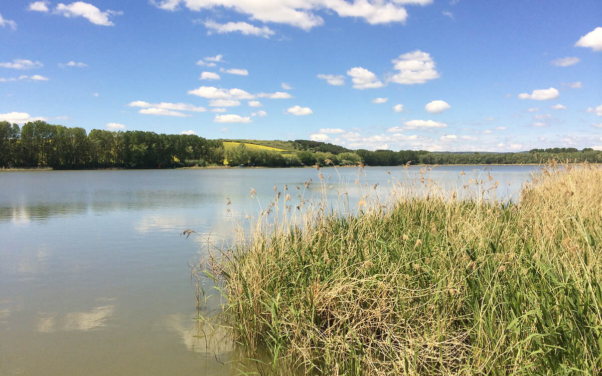 Campingplatz-Stausee-Wangenheim-Panorama